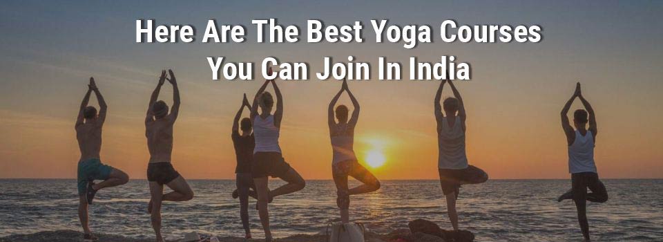 The Best Yoga Courses You Can Join In India